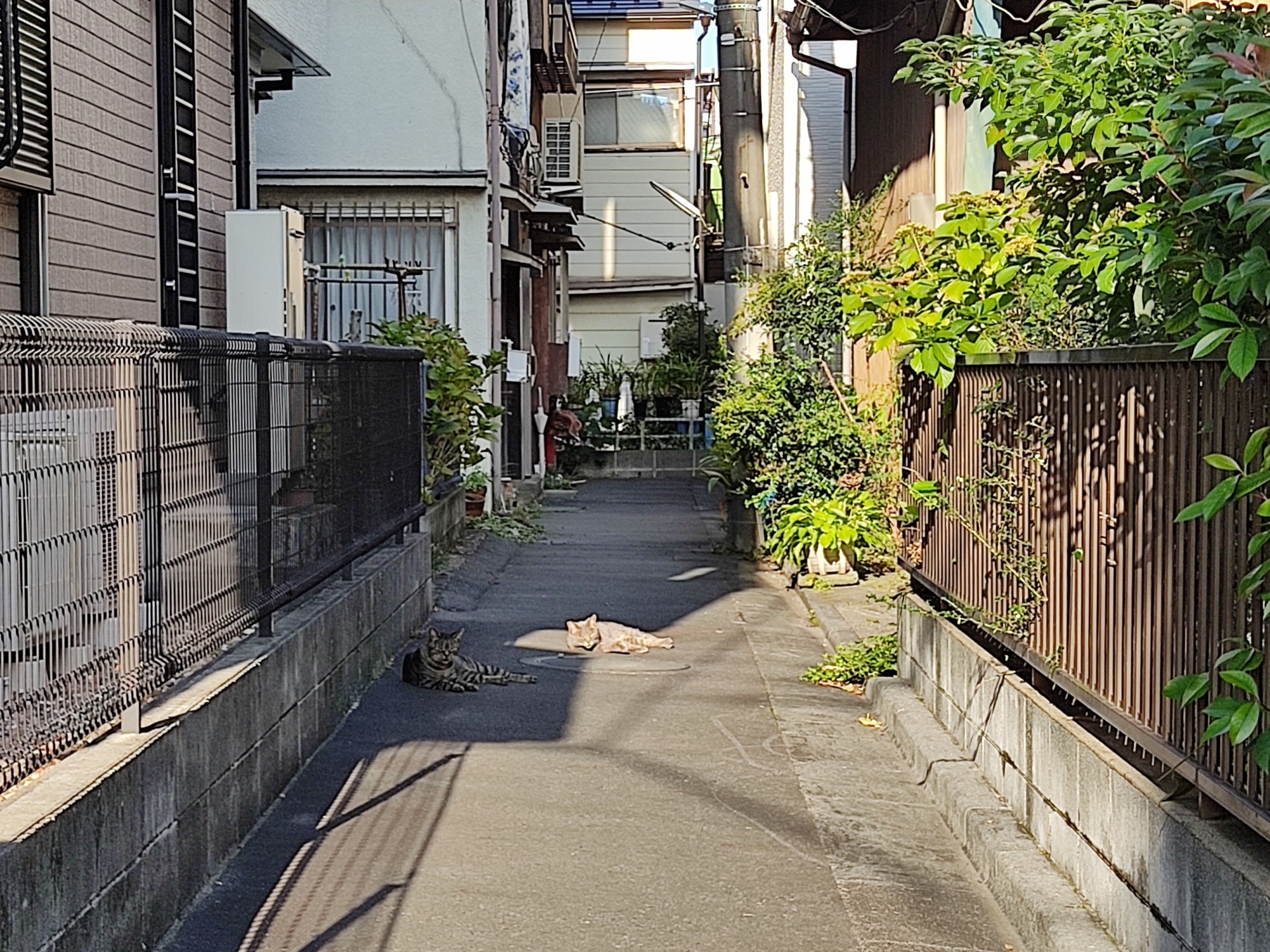 再建築不可物件を賢く活用するための不動産売却戦略